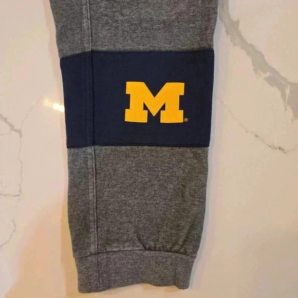 Nike Michigan Wolverines Mens Charcoal AV15 Sweatpants Joggers Size Medium - Picture 3 of 11